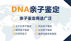 长沙哪里找正规的亲子鉴定中心，长沙正规的亲子鉴定机构费用是多少钱