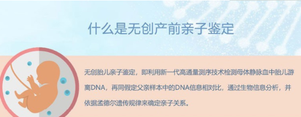 长沙怀孕怎么做亲子鉴定,长沙怀孕做亲子鉴定流程